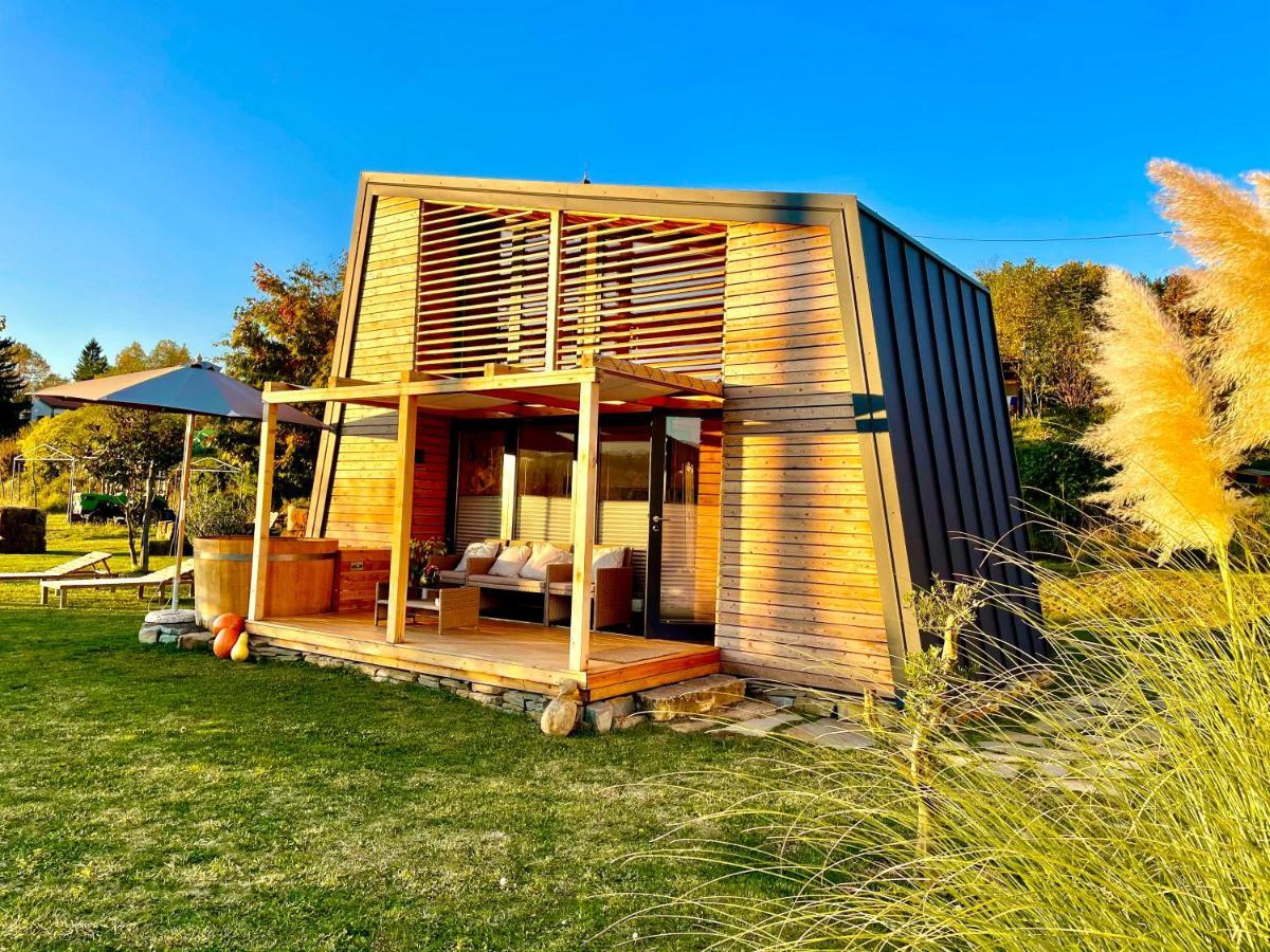 Maxi Sonce, Odprte Vasi Villa Prvacina Ngoại thất bức ảnh